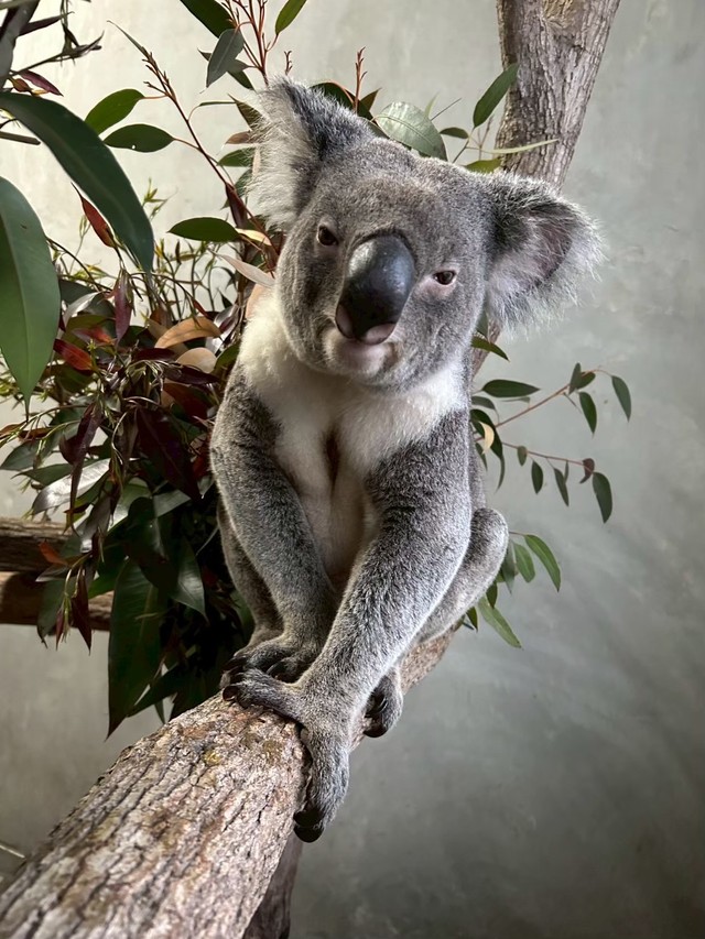 来園当初のノゾム (3)