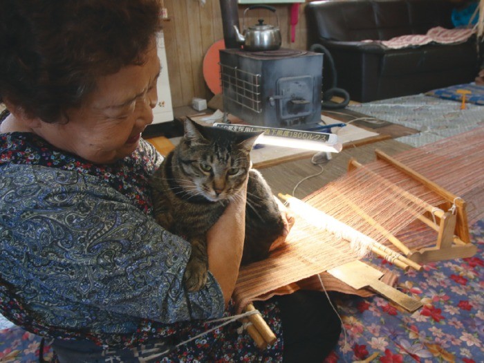 「おや、来たの?」。トラスケは雪子さんの工房でもまず甘える