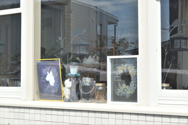 部屋の奥からじっとこちらを見つめるカイ店長