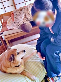 お姉ちゃんに手を添えるテツくん。距離は確実に縮まっています（画像提供：ゆずのなかさん）