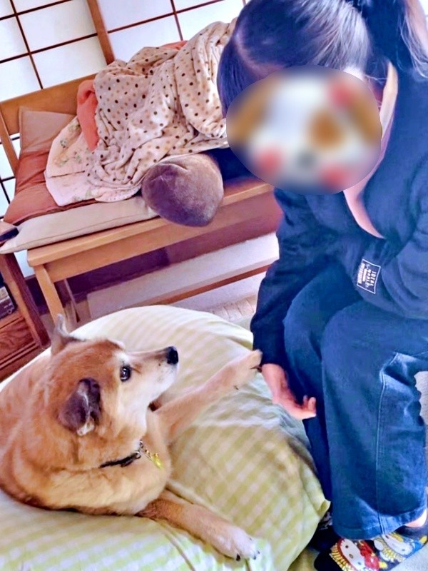 お姉ちゃんに手を添えるテツくん。距離は確実に縮まっています（画像提供：ゆずのなかさん）