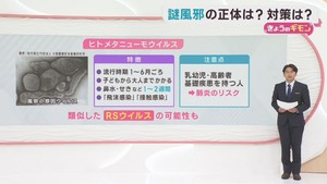 謎風邪とは？　感染症の専門家に聞く