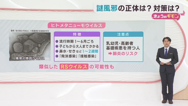 謎風邪とは？　感染症の専門家に聞く