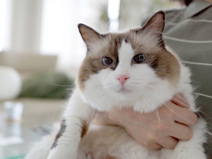 「さらにもっと幸せに」を願い、付けた名前は「更（さら）」ちゃん