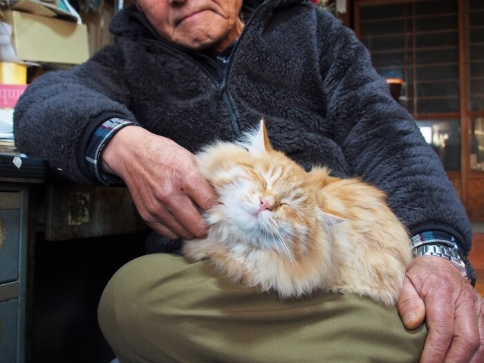 農家さんたちの「お父さん」高柳さんと保護猫ルナ

