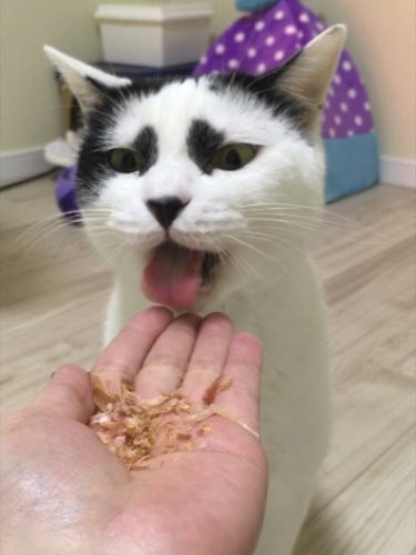 食べる時も表情豊か