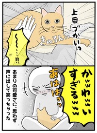 【漫画】『ネコと暮らした9日間』57（イゴカオリさん提供）