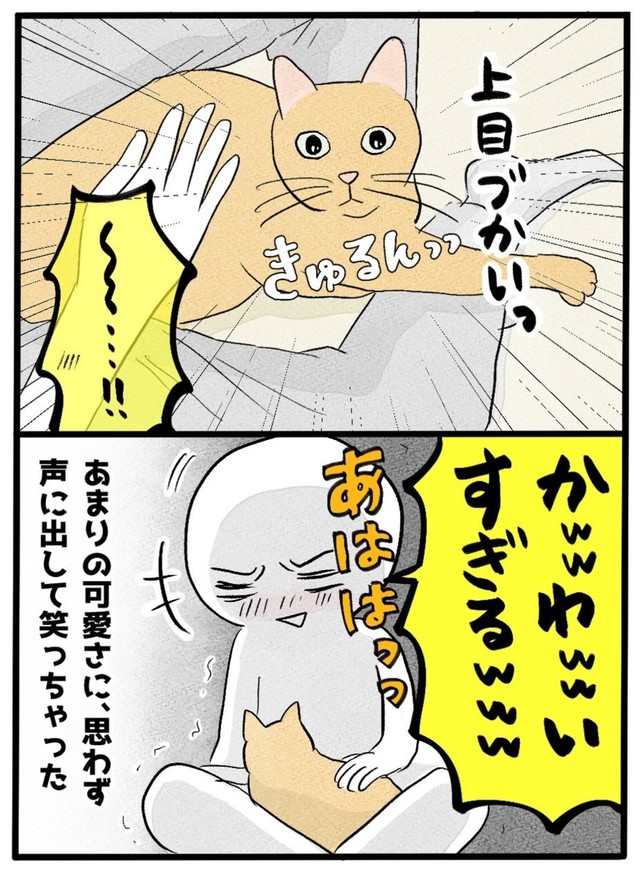 【漫画】『ネコと暮らした9日間』57（イゴカオリさん提供）