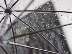 「乗っていく？」と車に乗せてくれた先輩。今は雨が降っても私の横を通り過ぎていく
