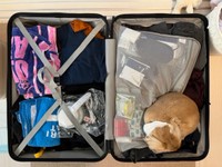 まるで荷物の一部！？ スーツケースの隅に収まるちゃちゃちゃん（画像提供：ちゃちゃさん）