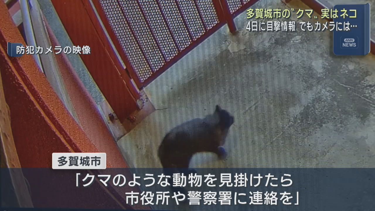 クマの目撃情報　防犯カメラに写っていたのは大きな黒ネコ　宮城・多賀城市