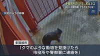 クマの目撃情報　防犯カメラに写っていたのは大きな黒ネコ　宮城・多賀城市