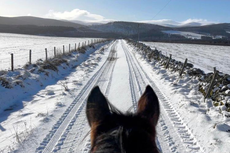 馬の背から見える景色は、いつもより少し雄大に見える=2026年3月、英スコットランドのアボイン、高久潤撮影