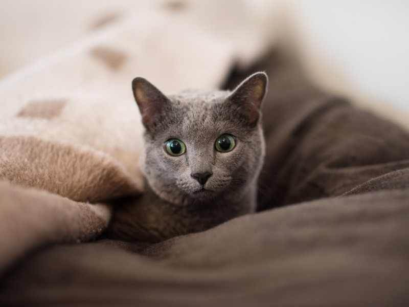 「クマの子見ていた隠れんぼ〜って歌知ってる？」（小林写函撮影）