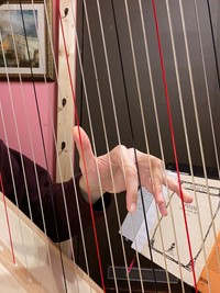 ハープの弦は、想像より太くてしっかりしてませんか？（提供：中村愛さん）