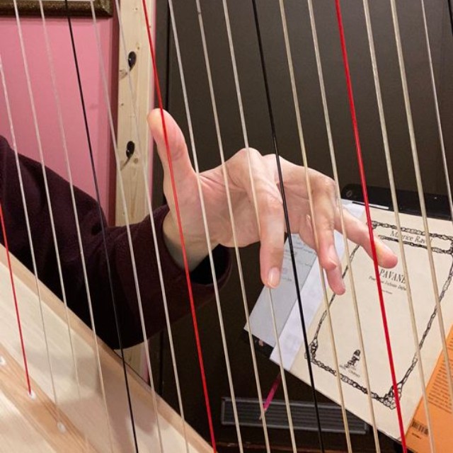 ハープの弦は、想像より太くてしっかりしてませんか？（提供：中村愛さん）