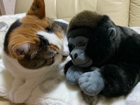 サクラさんの母性が爆発しているよ