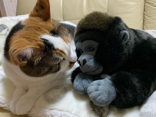 サクラさんの母性が爆発しているよ