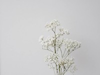 客観的事実に無用な意味や感情を持たせる色メガネ。結局は自分との戦い