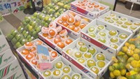 旬の野菜と果物が大集合　農産物フェアにぎわう　香川