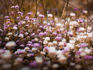 尽くす恋ですり減る私は彼の消耗品？必需品だと信じていたのに