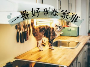 一番好きな家事