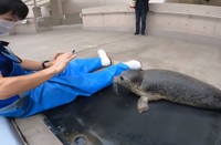 「はい、撮るよ～」にきっちり動きを止める赤ちゃん