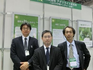 夜が明るすぎる光害、イネの生育に影響　専門家、特殊な街灯を開発して対策に取り組む