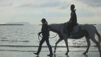 香川県観音寺市の「有明浜」で乗馬体験を