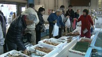 高松市中央卸売市場　水産物棟と加工水産物棟　22日に2025年最後の「市場特別開放」