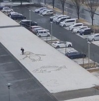 ヒメダイ、ペンギン…と着々と仕上げていきます！