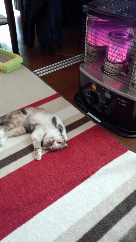 伸び伸びと温まる姿に家族はほっこり