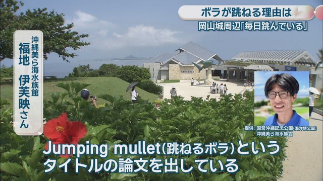 沖縄美ら海水族館／福地伊芙映さん