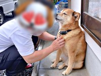 パパの前でうっとりするテツくん（画像提供：ゆずのなかさん）