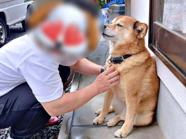 パパの前でうっとりするテツくん（画像提供：ゆずのなかさん）