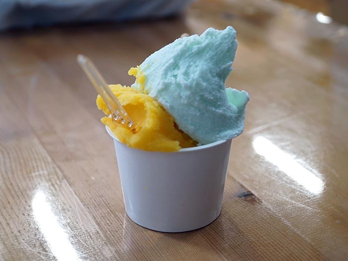 講習を受けたあとは休憩を挟みながら市内の猫を観察して過ごしました