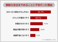 無駄な支出をやめることに不安だった理由（提供画像）
