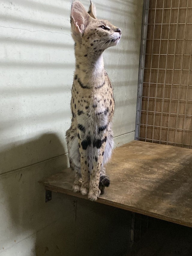 取材の日会えなかった子①（画像提供：登田さん）