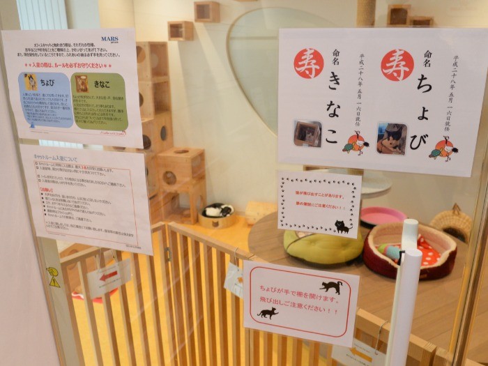 入り口に名前と性格などが紹介されています