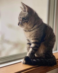 お外の世界ってどんなだろ？