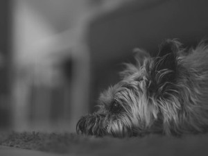 今の私には少し遠すぎる、中学生の時に憧れた漫画の世界を生きる彼女