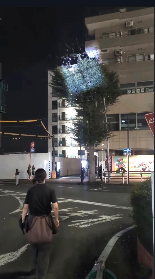 風恋ちゃんから逃げようと、ムクドリが木から飛び去っていく…（「鷹の庵」さん提供、Instagramよりキャプチャ撮影）