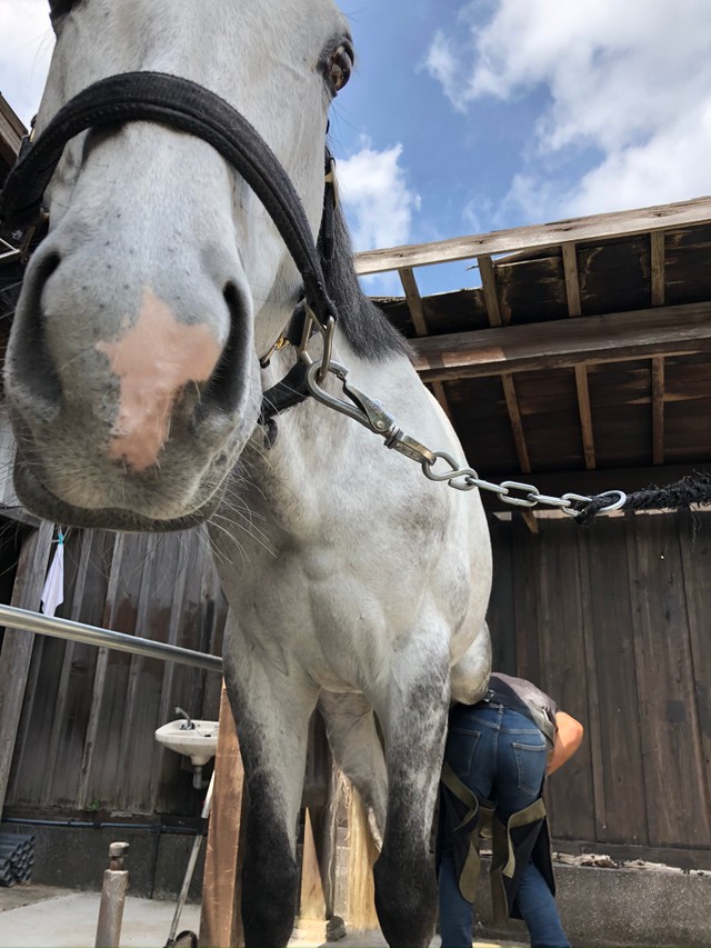 きれいにしてもらって、ありがとう