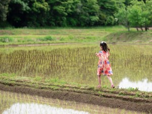 相続土地国庫帰属制度とは　 国に引き取ってもらえる条件や負担金、手続きを解説