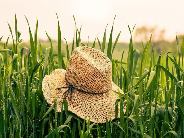 日傘がアイデンティティだった私が母になり、息子と外で過ごす夏