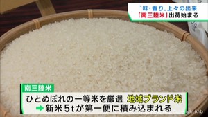 ブランド米の南三陸米　新米の出荷が始まる　宮城・気仙沼市や南三陸町で生産