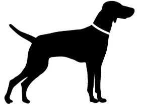 催眠鎮静剤入りのエサで捕獲の犬２頭、翌日死ぬ　期限切れか