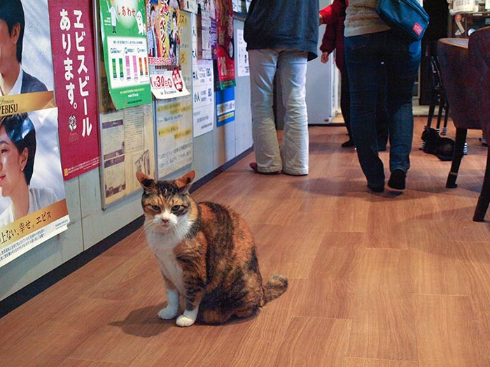 ケイは開店と同時にお客さんをお出迎え。さすがベテラン