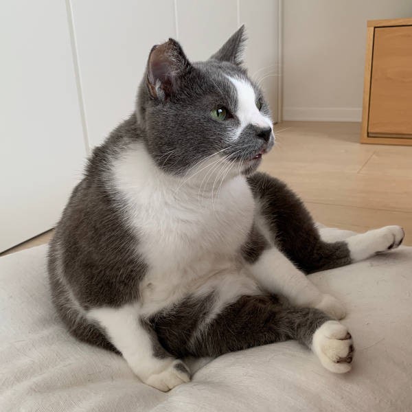 こんなポーズのまま、また観察