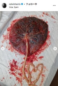 カルヴィン・ハリスのインスタグラム@calvinharrisより